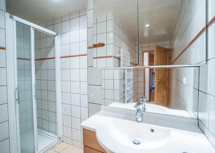 Hotel Cellier 5 Appart 6 Personnes Les 2 Alpes Les Deux Alpes